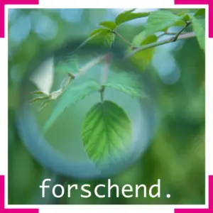 Yoga im fokus. - forschend