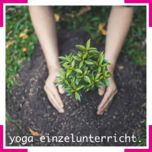 Yoga Einzelunterricht im fokus.